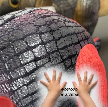 Pelúcia Dinossauro Sensorial
