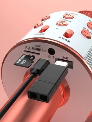 Microfone Bluetooth Karaokê (Grava + 4 efeitos de voz)