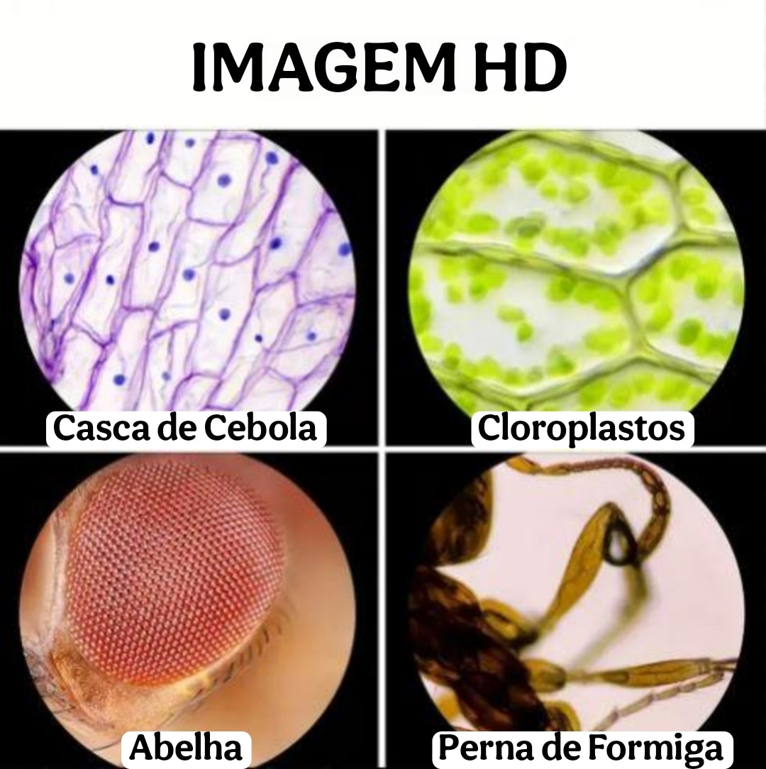 Microscópio de Mão Portátil Infantil