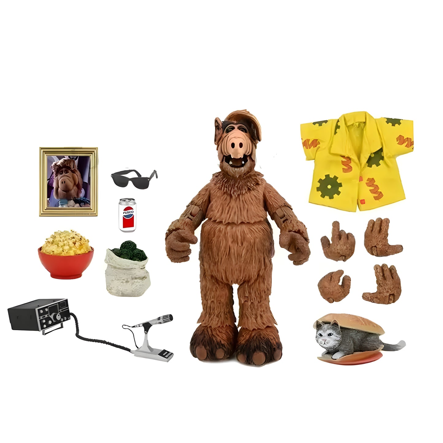 ALF, O Eteimoso - NECA