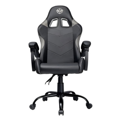Cadeira Gamer TGT Heron TC2