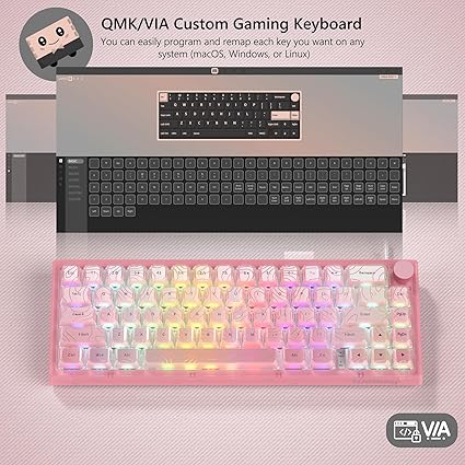 Teclado Translúcido Womier VK66 PRO Rosa