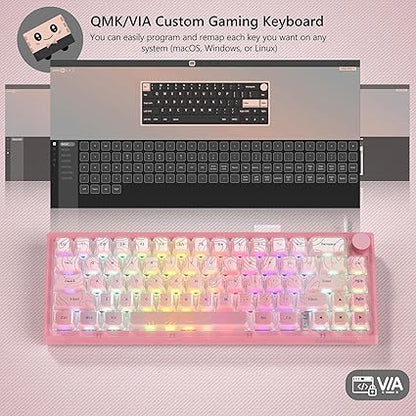 Teclado Translúcido Womier VK66 PRO Rosa