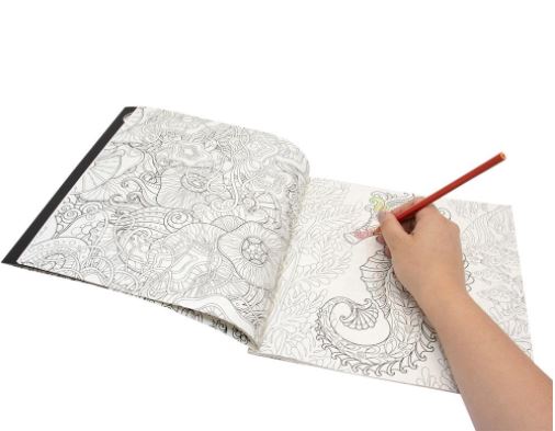 Livro de Colorir Antiestresse: A Arte de Ficar ZEN